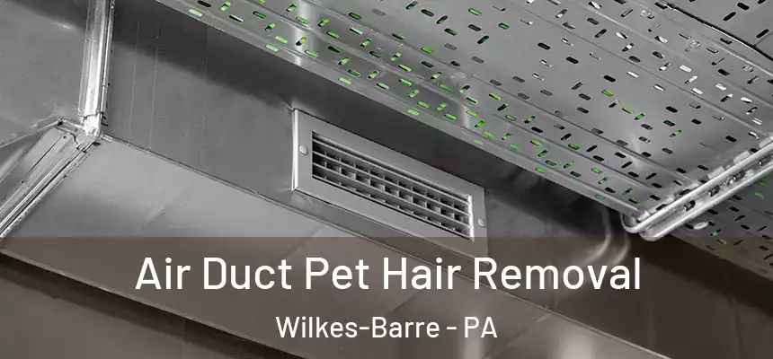  Air Duct Pet Hair Removal Wilkes-Barre - PA