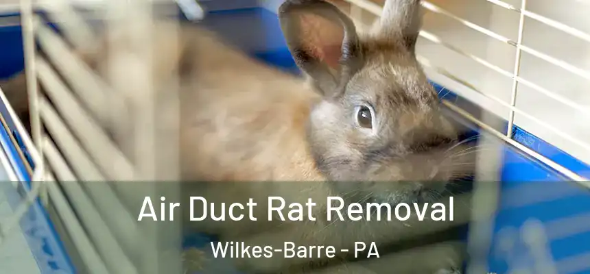  Air Duct Rat Removal Wilkes-Barre - PA