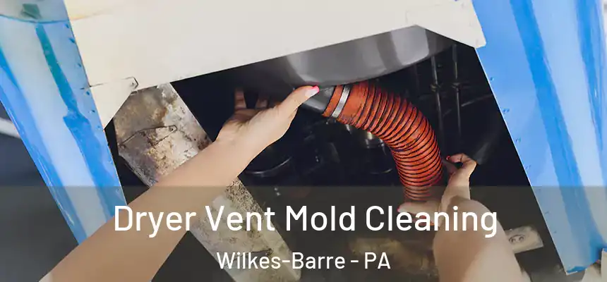 Dryer Vent Mold Cleaning Wilkes-Barre - PA
