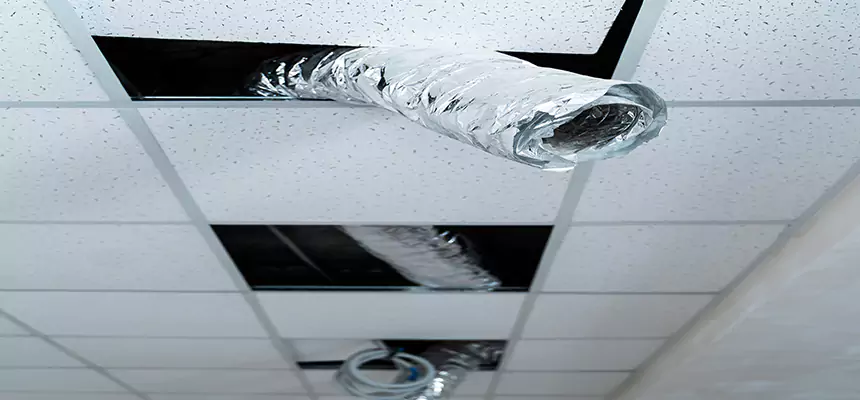 Our Air Duct Pet Hair Removal Services in Wilkes-Barre, PA