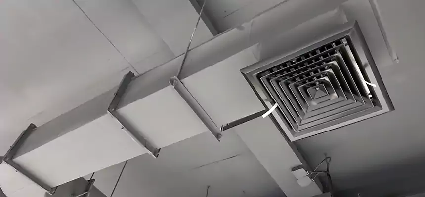 Our Pest Removal From Ducts Services in Wilkes-Barre, PA