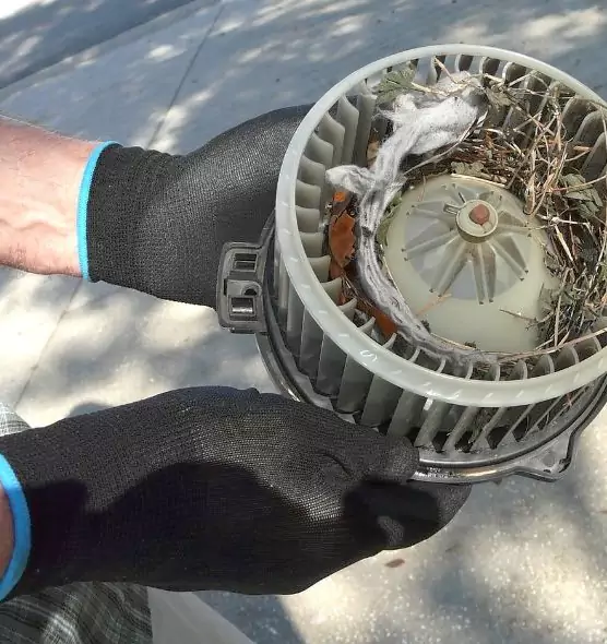 About Air Duct Rat Removal in Wilkes-Barre, PA