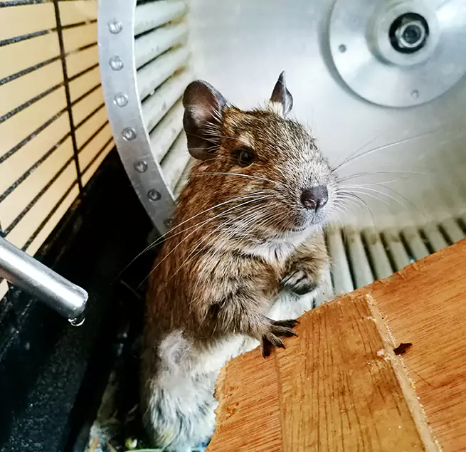 Why Homeowners & Businesses Trust Us Wilkes-Barre, PA?